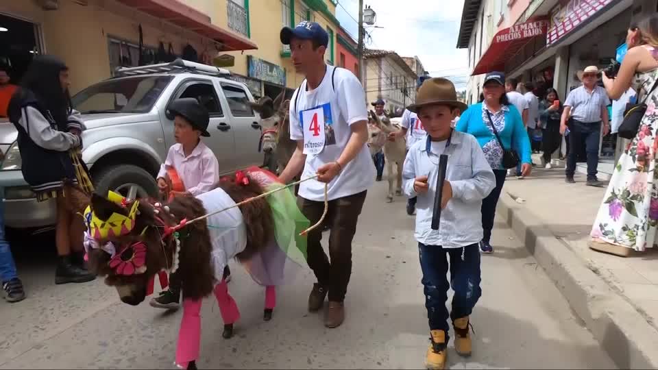 Donkeys dress up for colombian festival