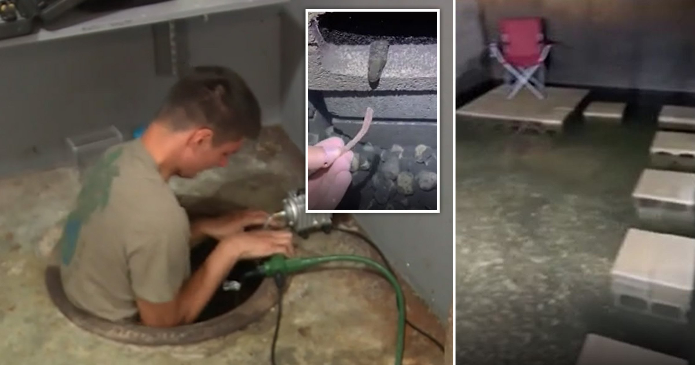 Man turns underground space below his house into an eel pit