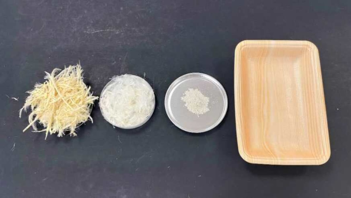 Upcycling chicken feathers among efforts to create Singapore's first