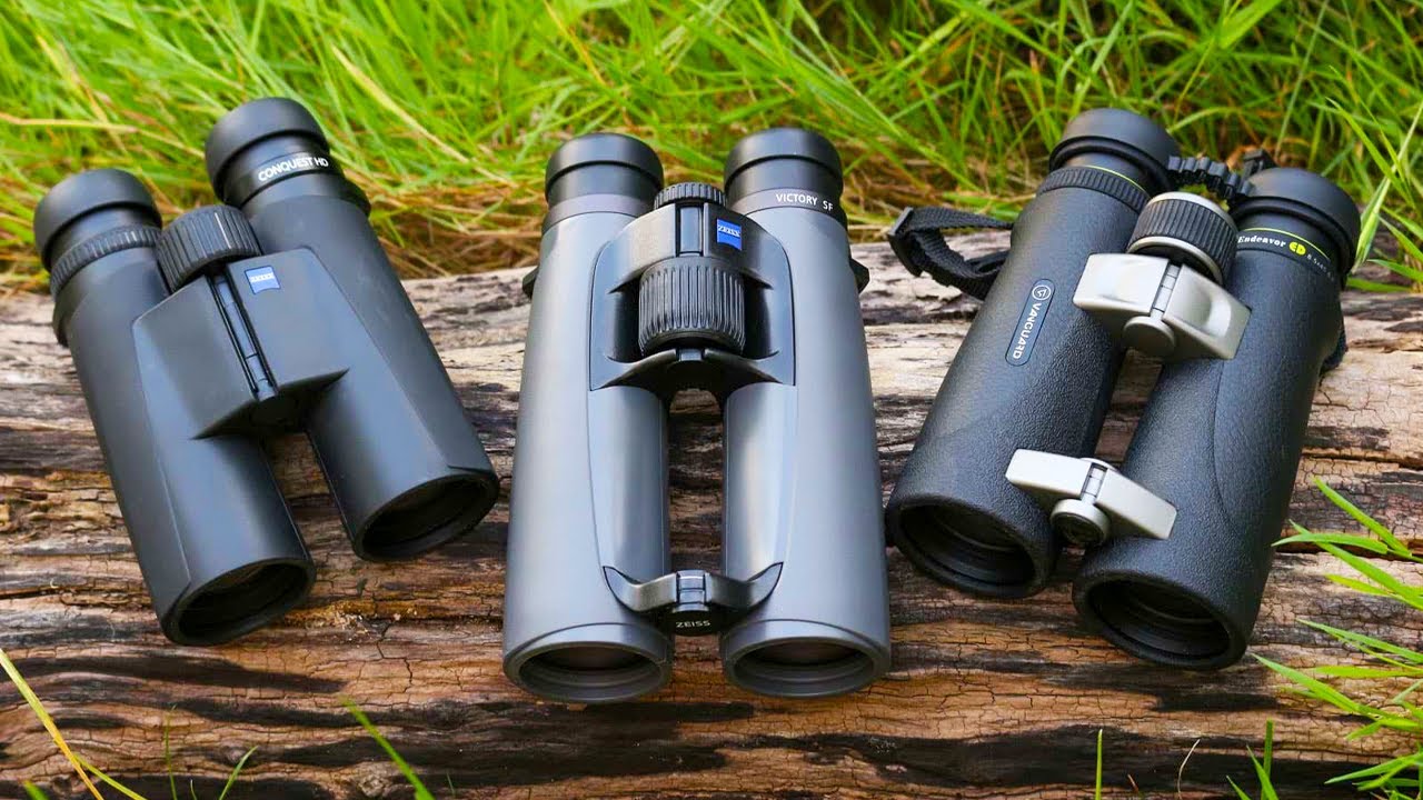5 Best Binoculars for Birds, Nature, and the Outdoors of 2022 Nestia