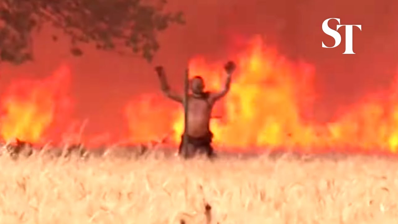 Spanish man engulfed in flames trying to save his town from wildfire