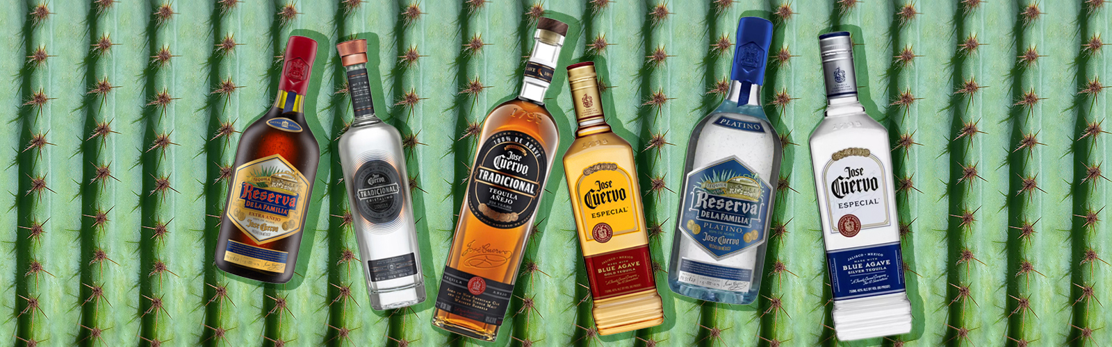 The Full Line Up Of Jose Cuervo Tequilas, Ranked