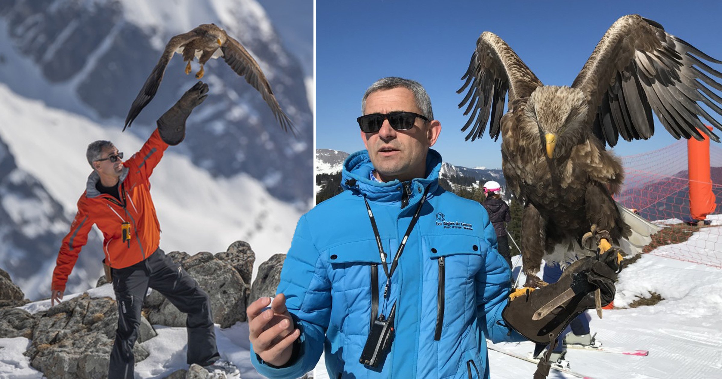 Meet Fletcher, the eagle who skis with his handler in the French Alps