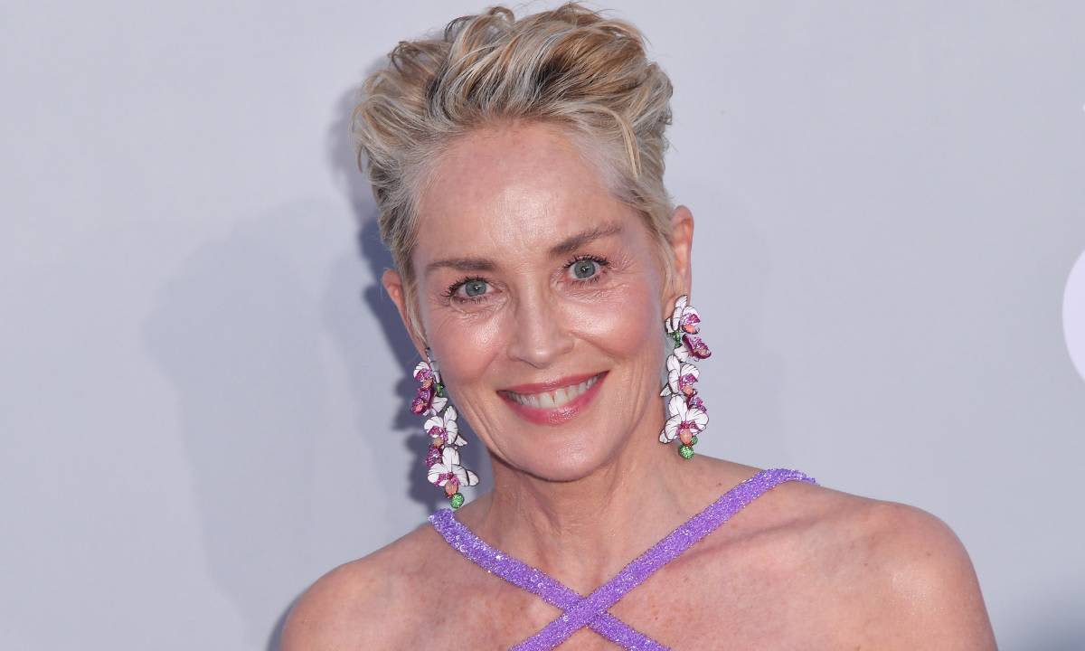 Sharon Stone poses in sheer dress as she shares personal home update