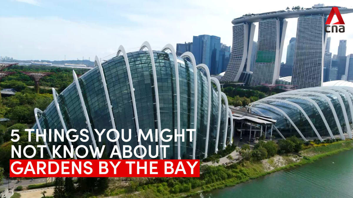 5 things you might not know about Gardens by the Bay | Video