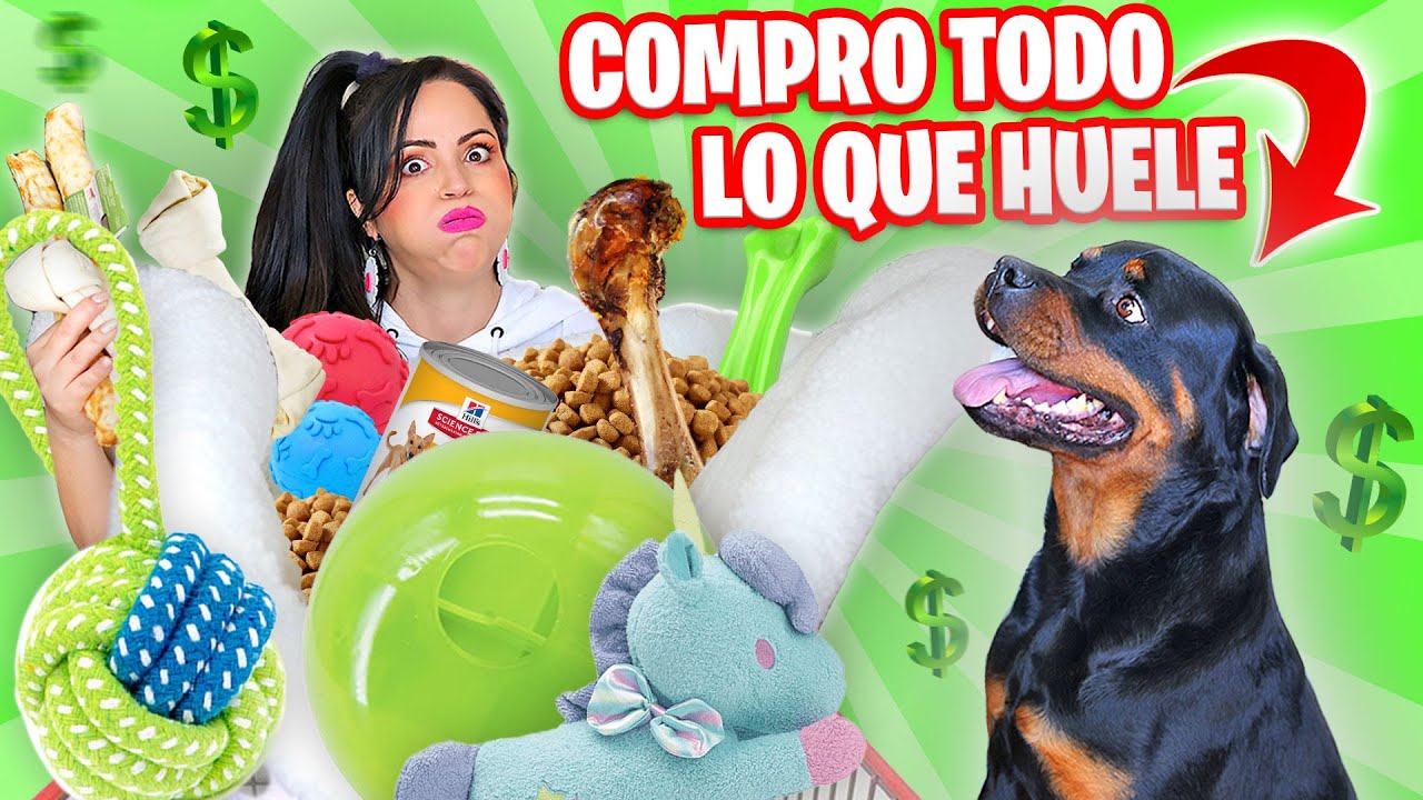 COMPRO TODO LO QUE MI PERRO TOCA EN LA TIENDA 💰 CUANTO GASTÉ? 😱 Sandra Cires Art y Karim