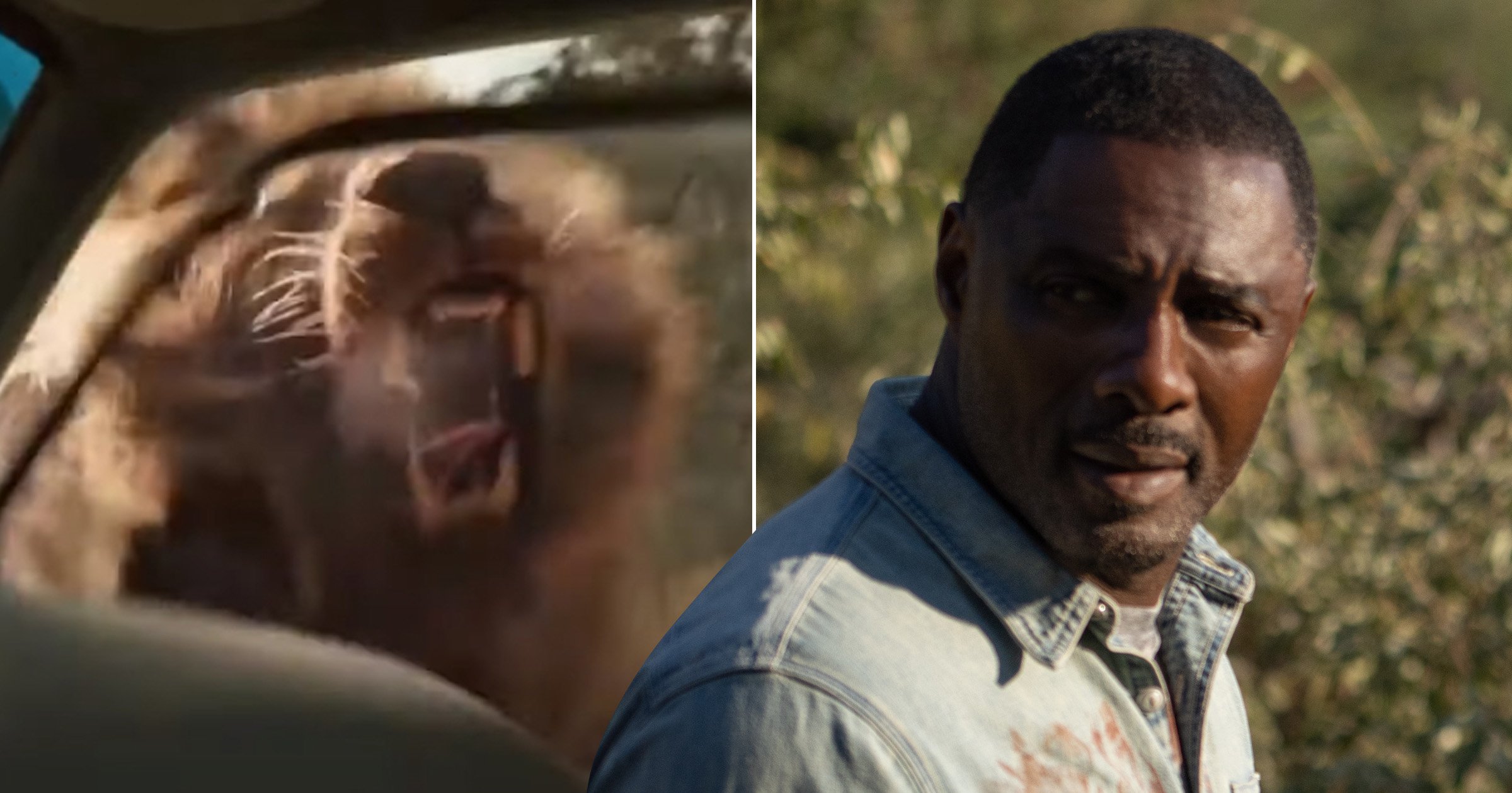 Filming of Idris Elba’s Beast nearly derailed after unleashed lion causes ‘panic’ on set