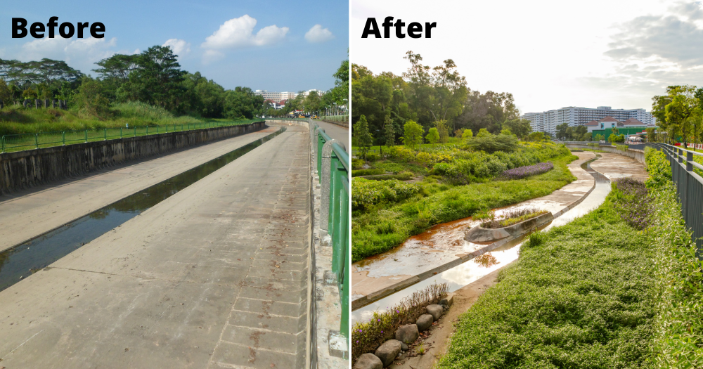 Part of concrete canal at Tampines turned into naturalised river with rain gardens & lookout decks