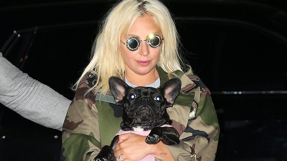 Lady Gaga: Dog robber suspect arrested after mistaken release