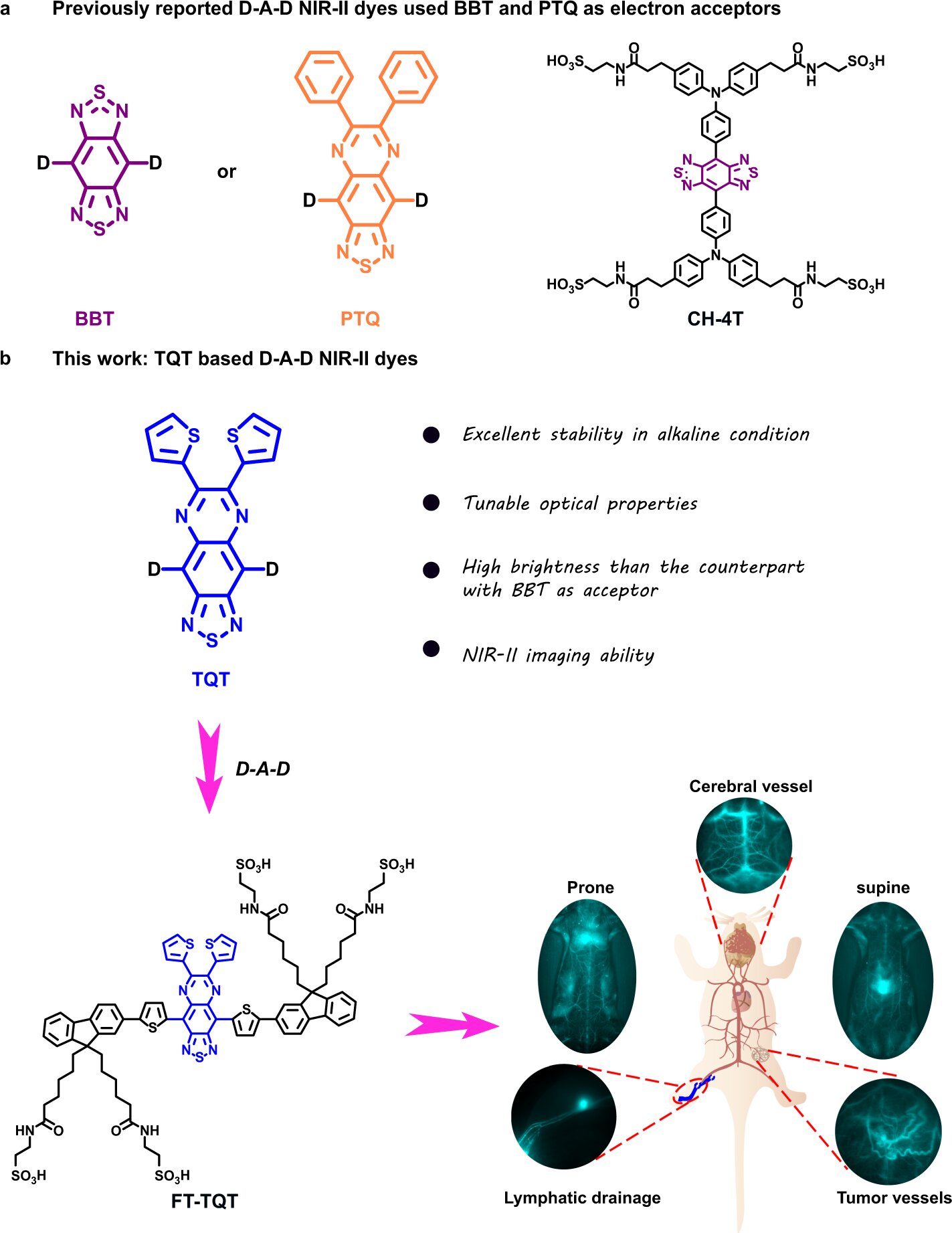 Researchers develop new generation NIR-II dyes for biomedical imaging