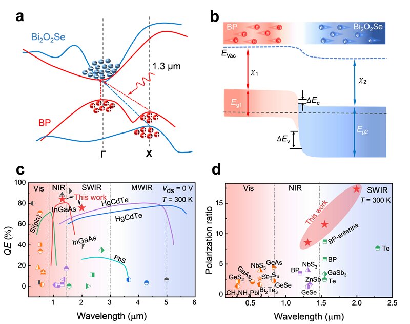 New van der Waals heterostructures for high-efficiency infrared photodetection