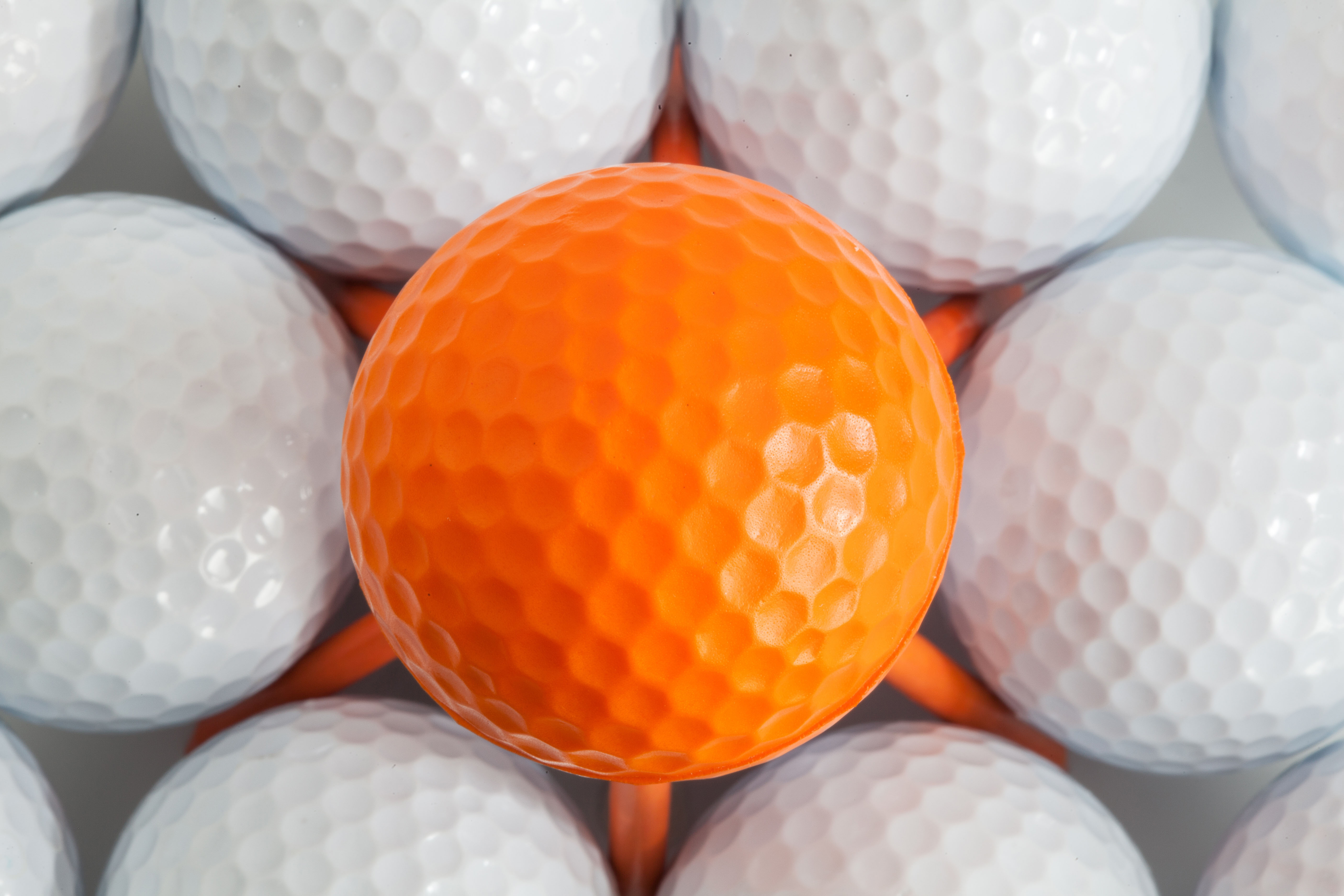 Climate activists fill golf holes with cement after the course was given a water ban exemption