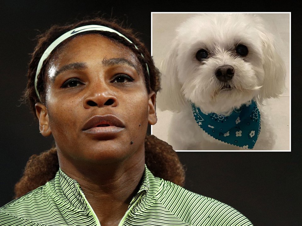 Serena Williams marks ‘end of an era’ as she mourns the death of her beloved dog Lauerlei