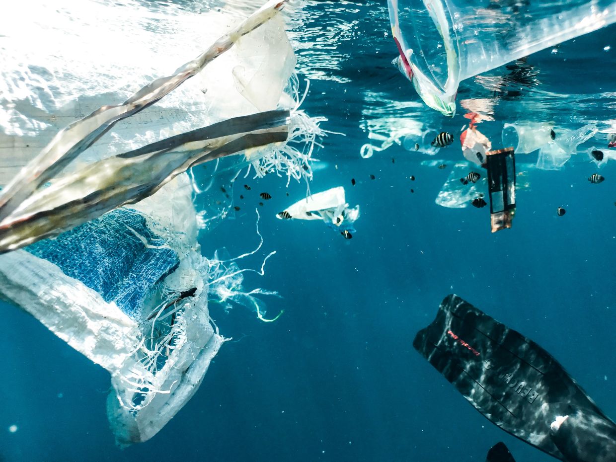 Watch drones pick up litter on US beaches and waterways