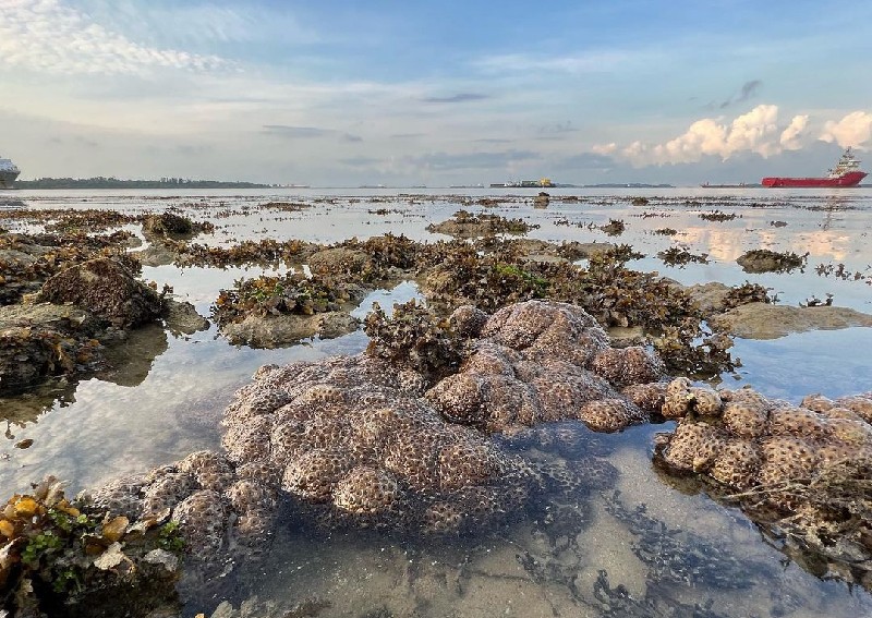 5 hidden beaches in Singapore you need to check out