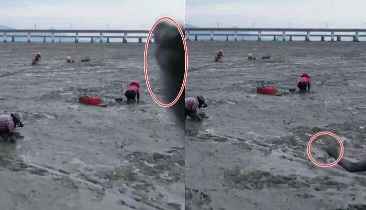 尴尬！中国官方无人机拍宣传片 竟遭渔民丢泥巴击落