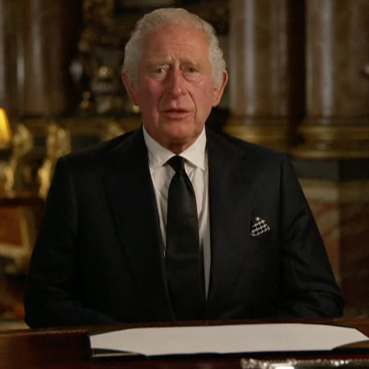 See King Charles III’s First Formal Portrait As King