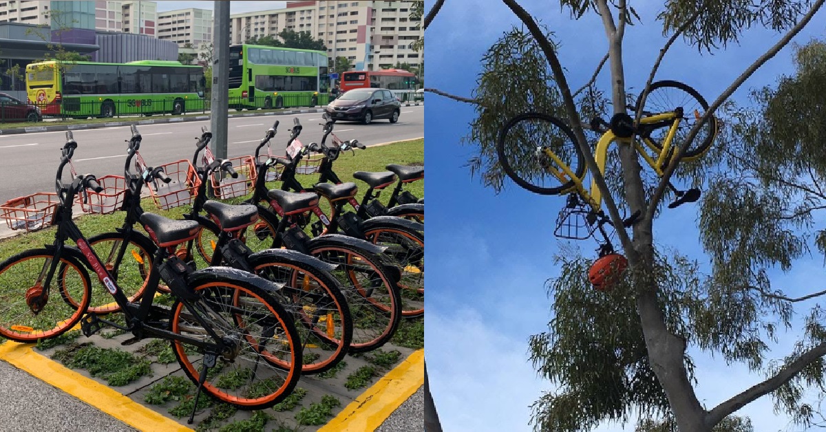 RENTAL BIKES BEING PARKED EVERYWHERE, ERRANT RIDERS ANYHOW DUMPING THE BIKES