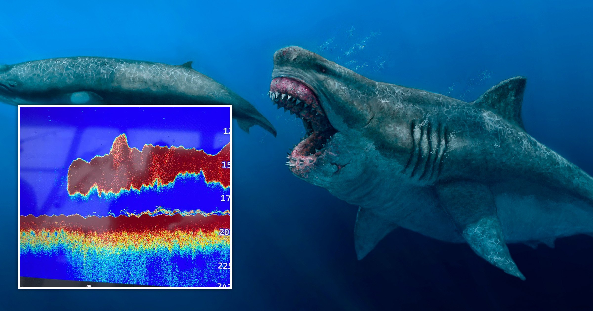 Massive ‘Megalodon’ shark image captured by scientists