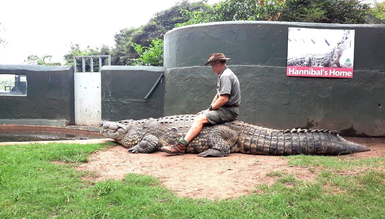 16-foot crocodile turns on zookeeper and attacks him in front of horrified crowd