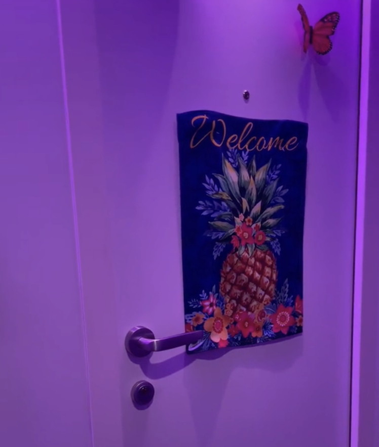 Cruise ship passenger discovers what upside down pineapple signs on doors mean