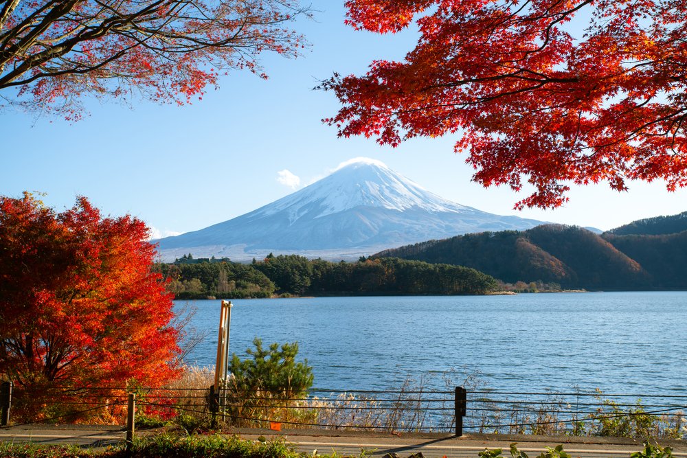 Japan Will Reopen Its Borders from 11 Oct As Japanese Yen Falls to Historic Low Against SGD