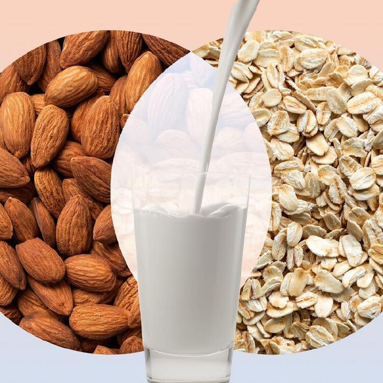 Oat Milk Vs Almond Milk Which Is Better For You And The Environment Nestia 4433