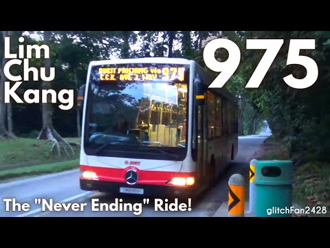 "Never Ending" Bus Evening Journey at Lim Chu Kang | Throwback Original Livery