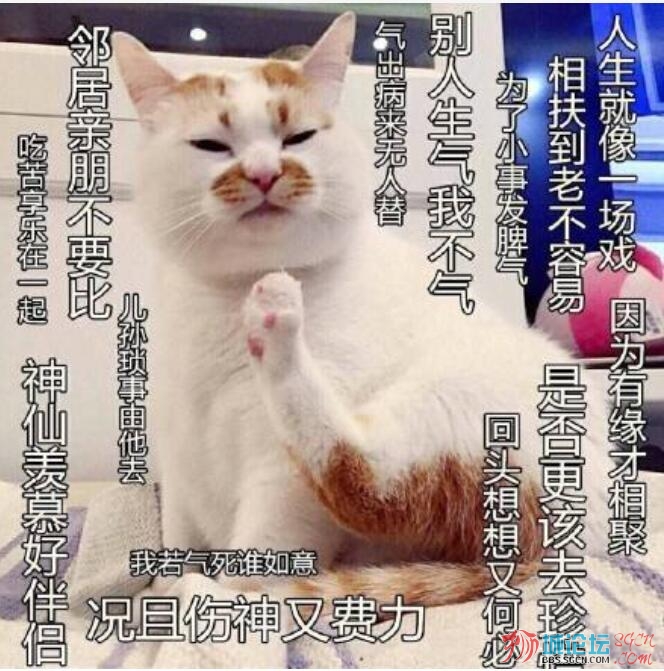 马来西亚议员在新加坡吃杂菜饭，怒怼：马币不争气！越想越生气！