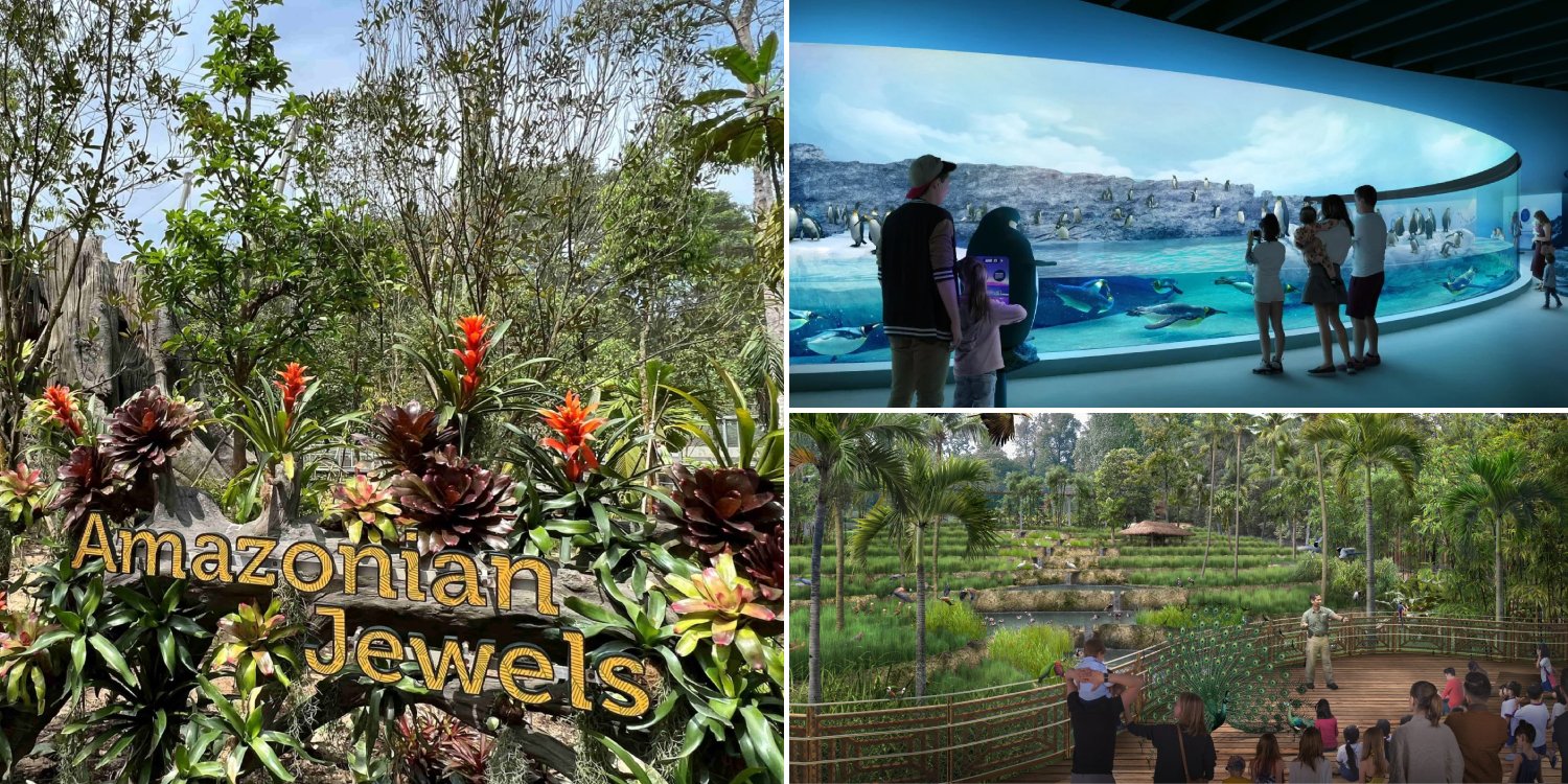 Mandai bird paradise to open in 2023, has 8 areas including rainforests & penguin habitat