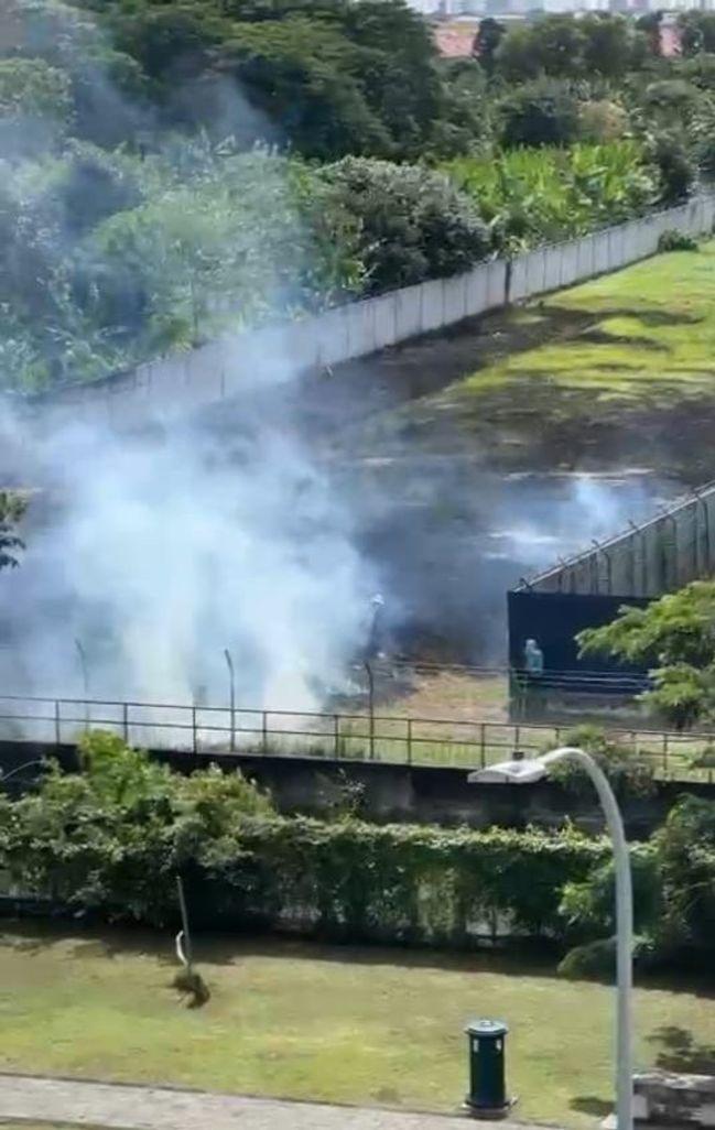 工人除草就地焚烧 污染空气·居民投诉