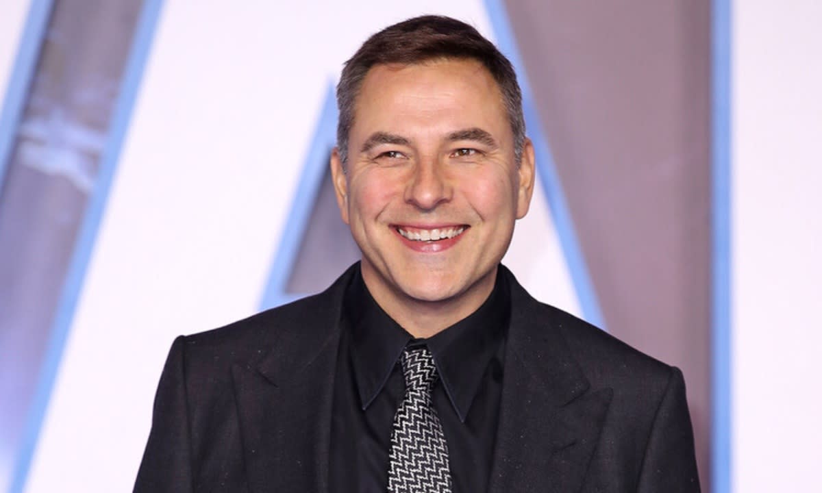 David Walliams bares all in hilarious pole dancing wardrobe malfunction