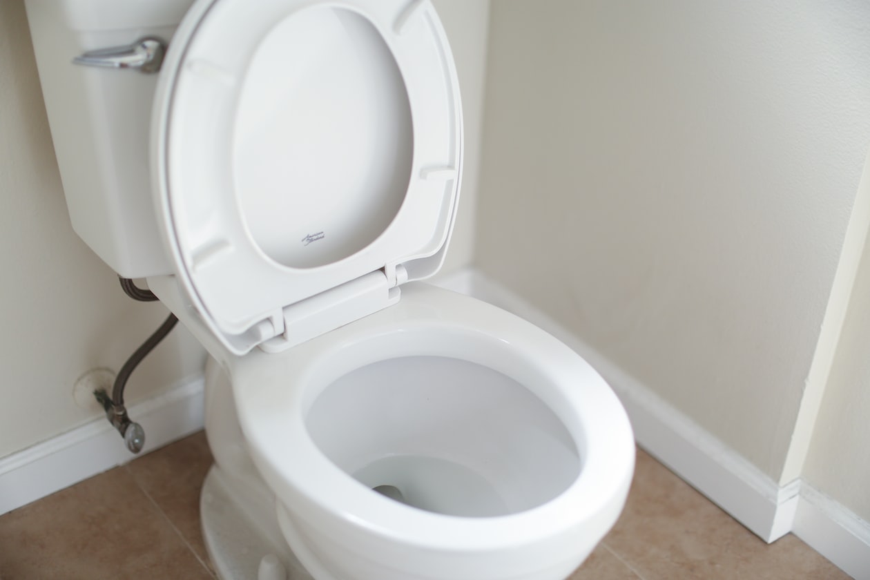WOMAN RAGES ONLINE AS HER SISTER OFTEN SNATCHES THE TOILET, 1ST WORLD PROBLEMS