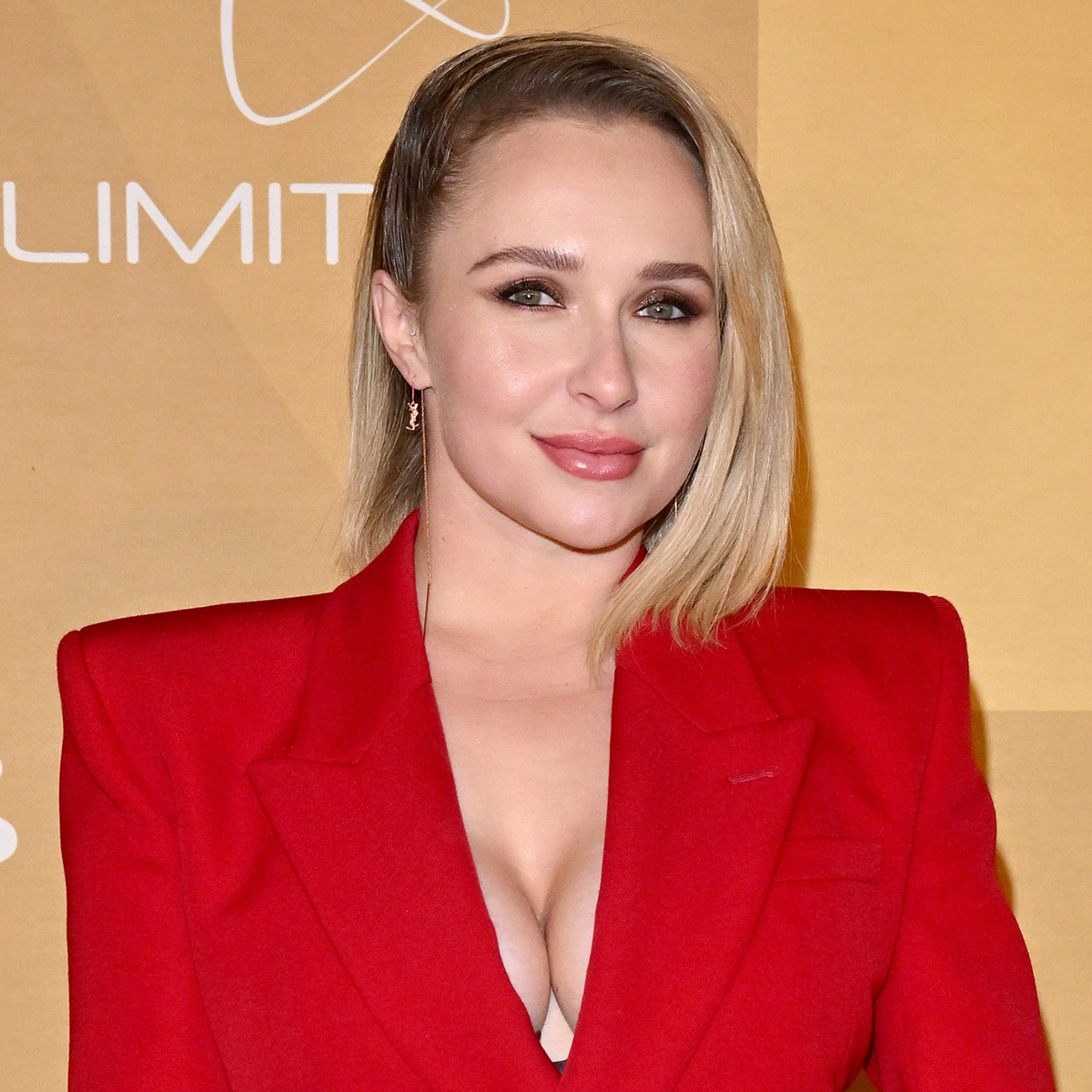 Hayden Panettiere Turns Heads During Rare Red Carpet Appearance