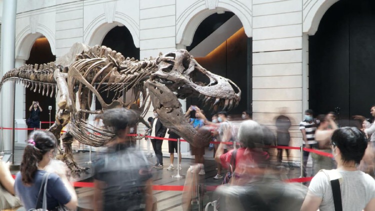 Christie's Cancels Controversial T-rex Auction In Hong Kong | Nestia