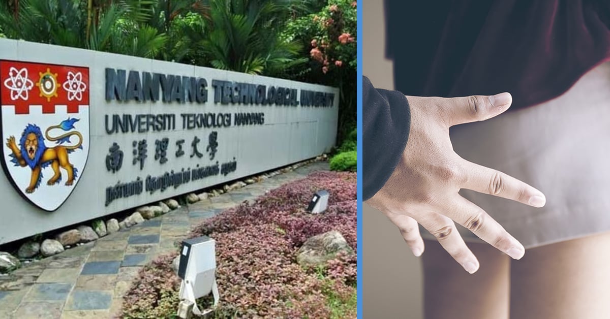 RSAF Lieutenant-Colonel Allegedly Trespassed into NTU Dorm & Molested a Woman