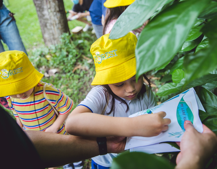 Bilingual Playgroups, Performing Arts & Outdoor Farming for Tots up to 6 Years Old at Little Forest (+ Exclusive $50 Discount)