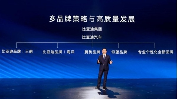比亚迪百万级高端品牌来了！命名“仰望” 首发搭载黑科技