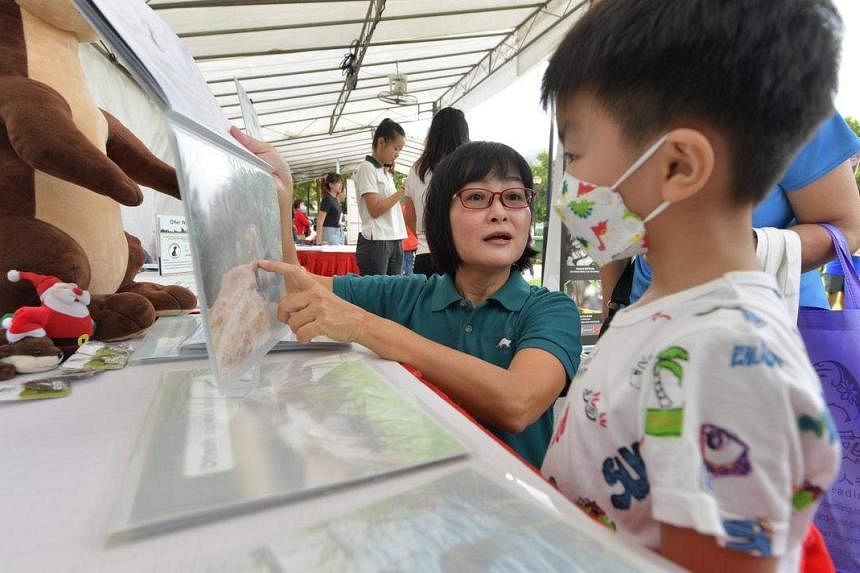 Otter-proofing homes among tips for Cheng San-Seletar residents to co-exist with wildlife