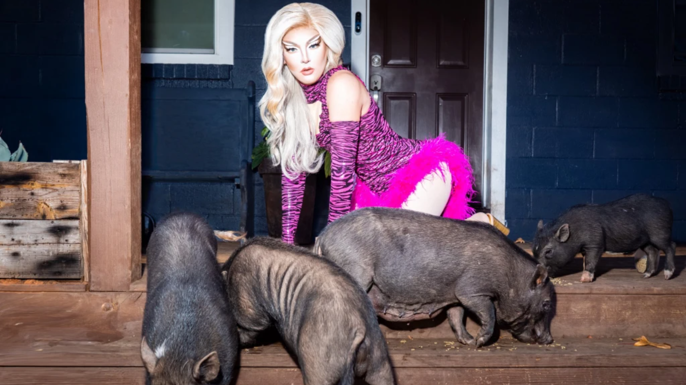 Meet the drag queen who can wrangle pigs in six-inch heels