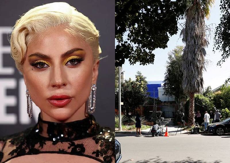 Lady Gaga's dognapper sentenced to 21 years in jail