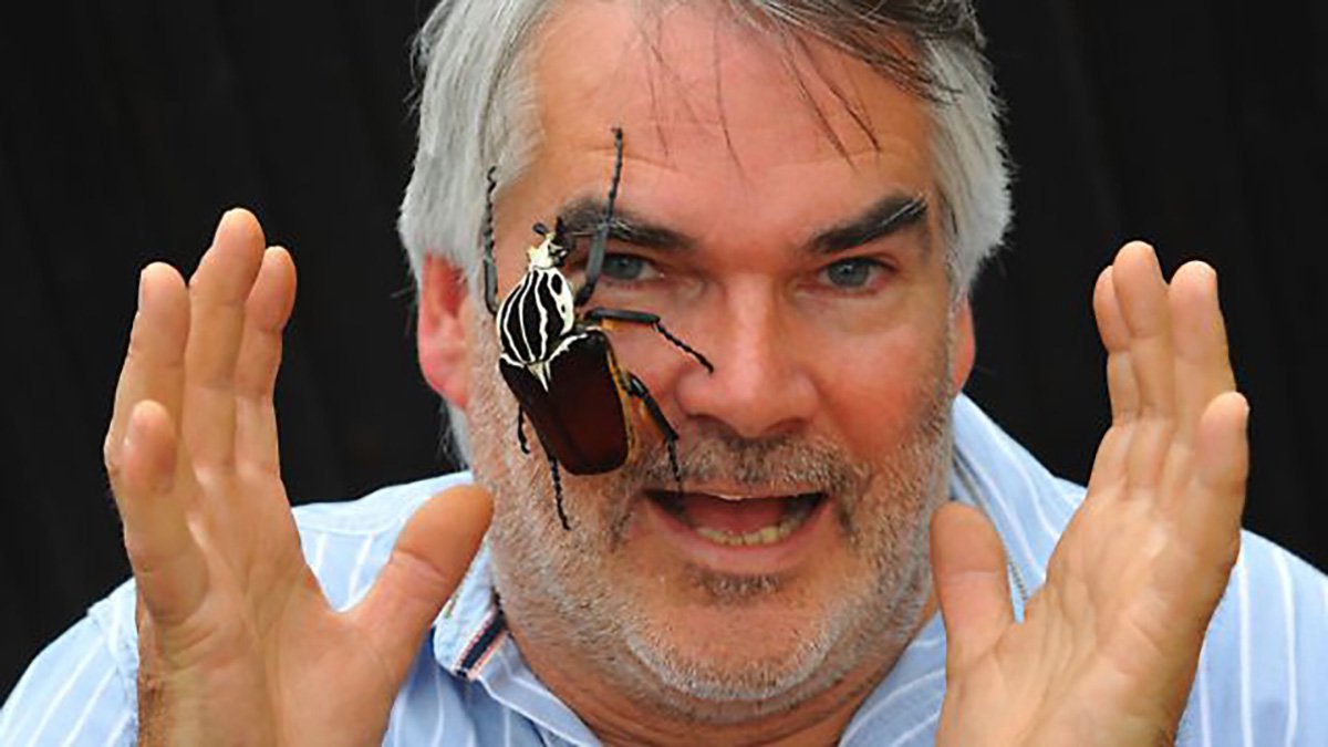 Man opens bug zoo over 20 years after he told wife he’d just ‘keep a few in the shed’