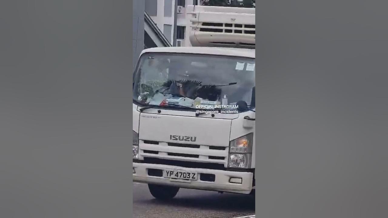 The lorry stop at middle of the road more than 10min waiting for people at Admiralty mrt Road