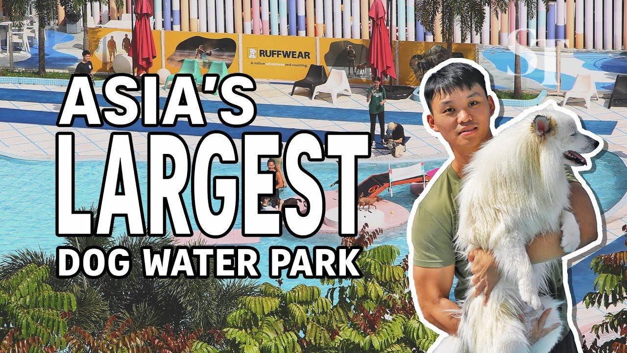 Making a splash at Jurong Play Grounds for families and pets in Singapore
