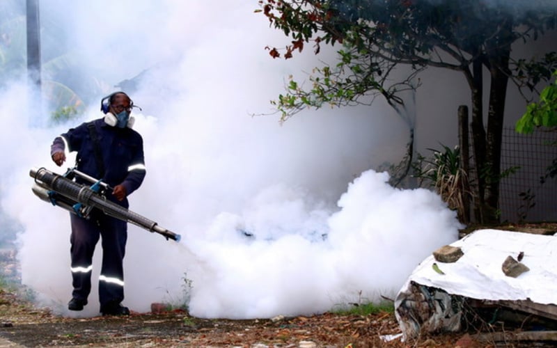 Dengue cases up 11.6% to 1,935 from Nov 28 to Dec 3