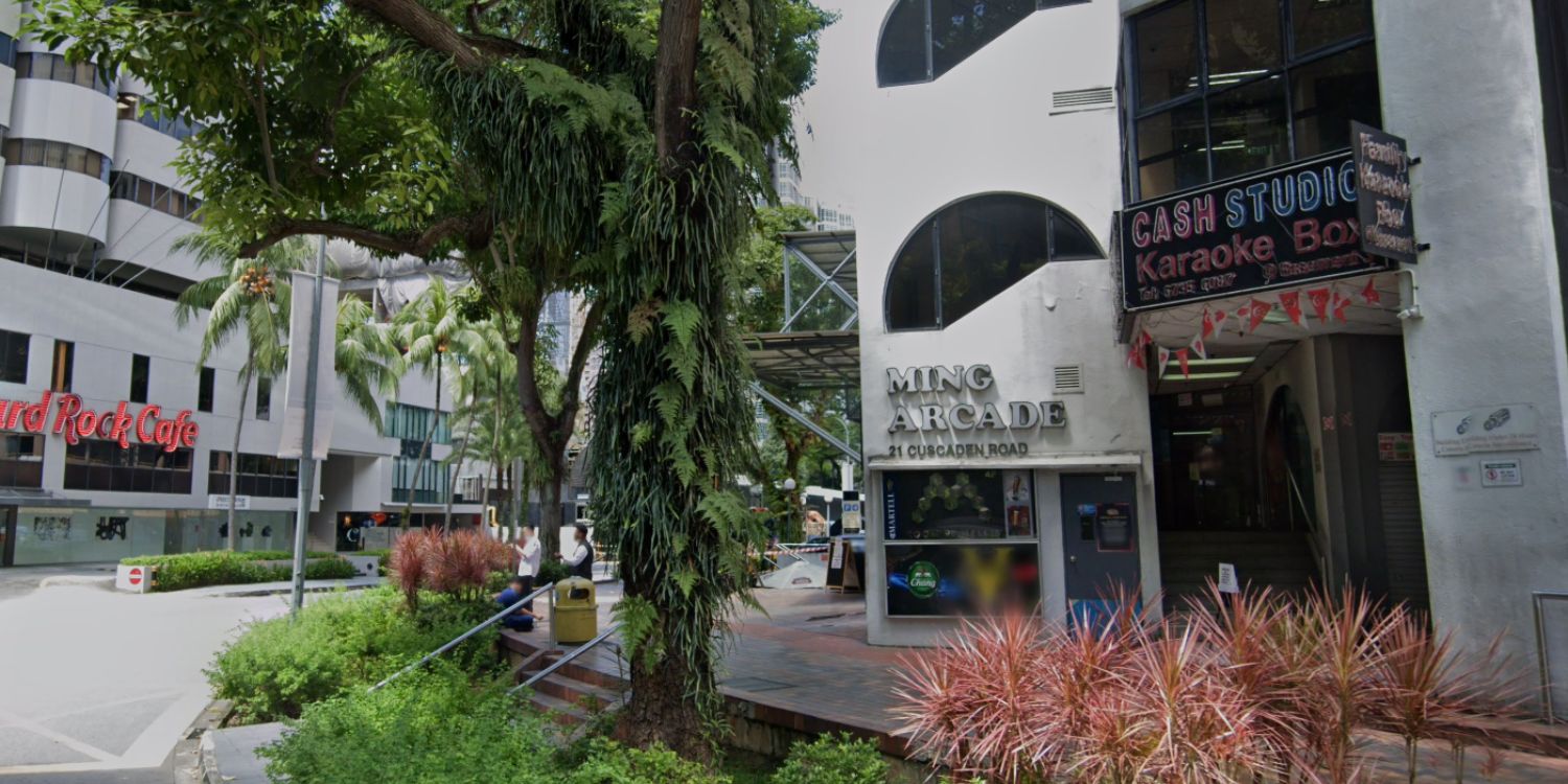 Ming arcade in orchard sold en bloc for s$172m, tenants get up to s$30m per unit