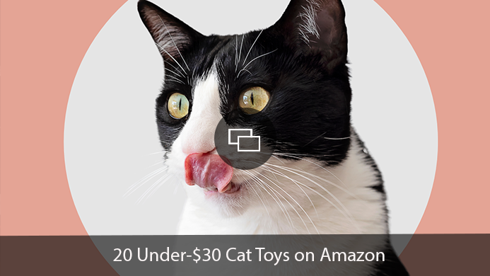 This On-Sale Flapping Bat Cat Toy Is ‘Ridiculously Fun’ & the Perfect Halloween Treat for Your Furry Friend
