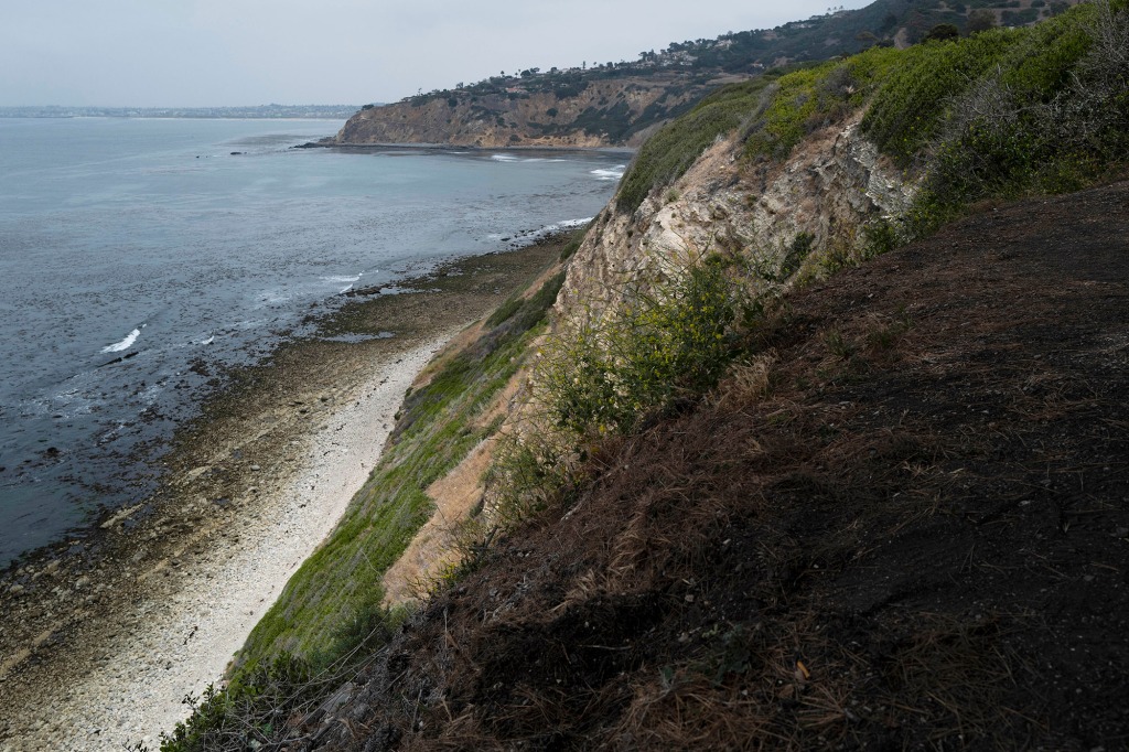 Man survives 100-foot fall off cliff in Calif. after 22-minute rescue