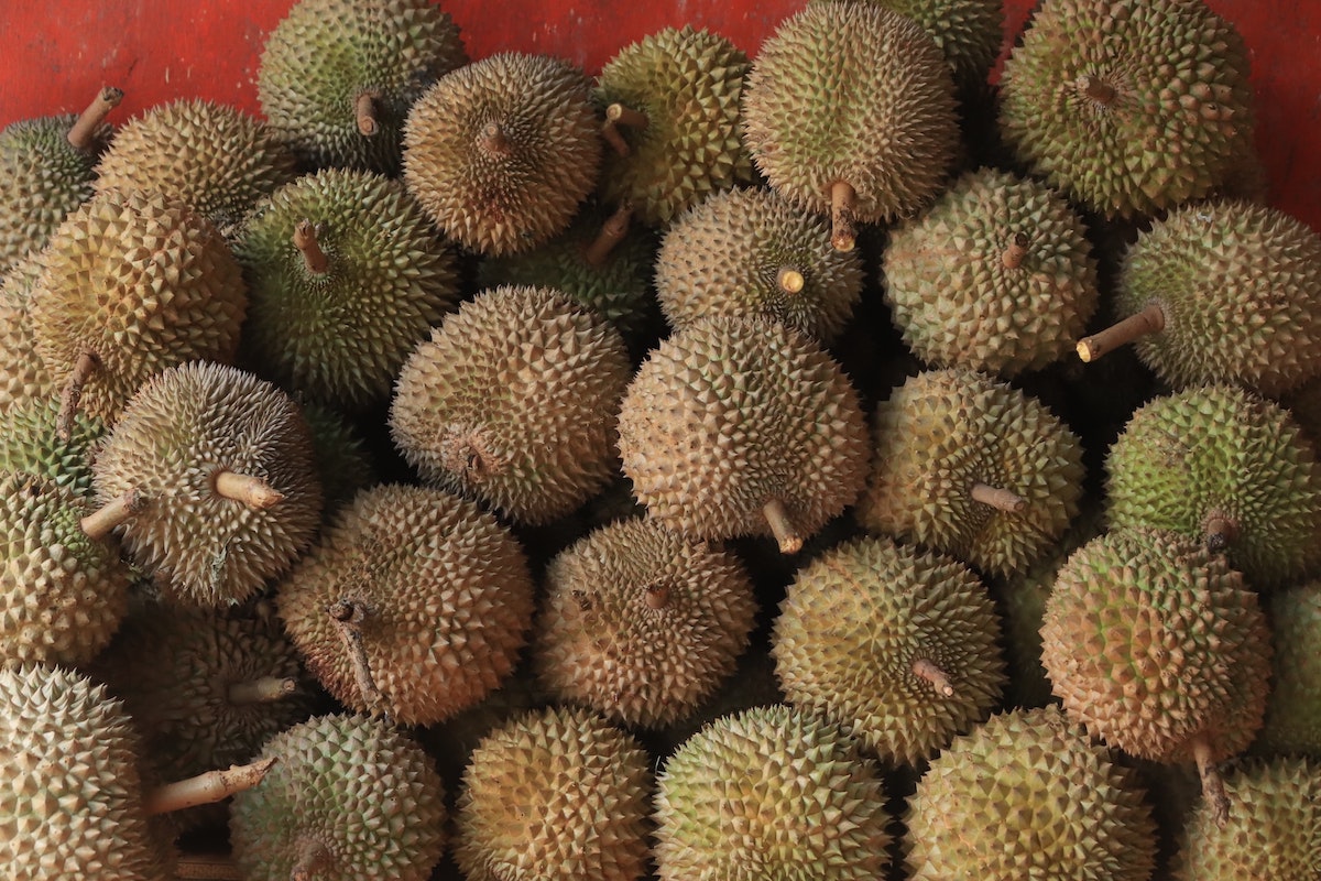 Everything you need to know about eating durian during pregnancy
