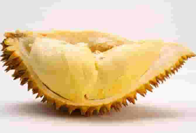 Everything You Need To Know About Eating Durian During Pregnancy